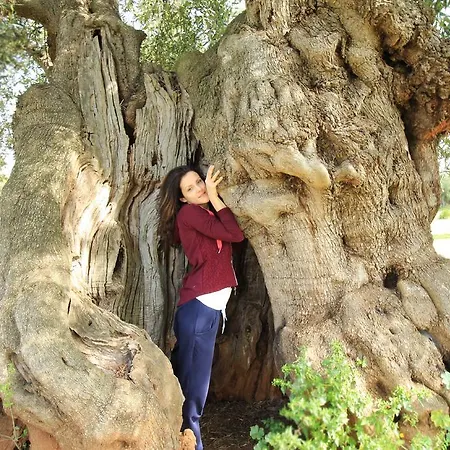 Masseria Brancati Bauernhof