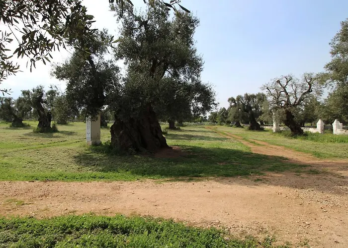 Masseria Brancati 팜스테이
