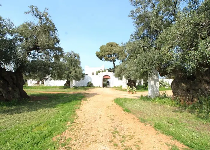 Masseria Brancati 팜스테이 *