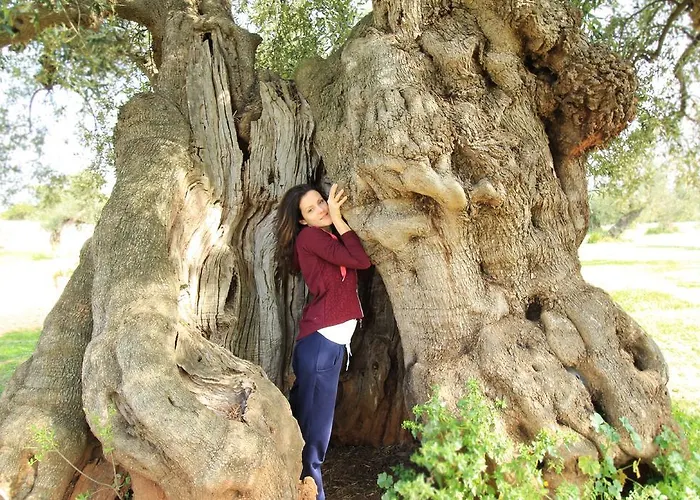 Masseria Brancati 팜스테이